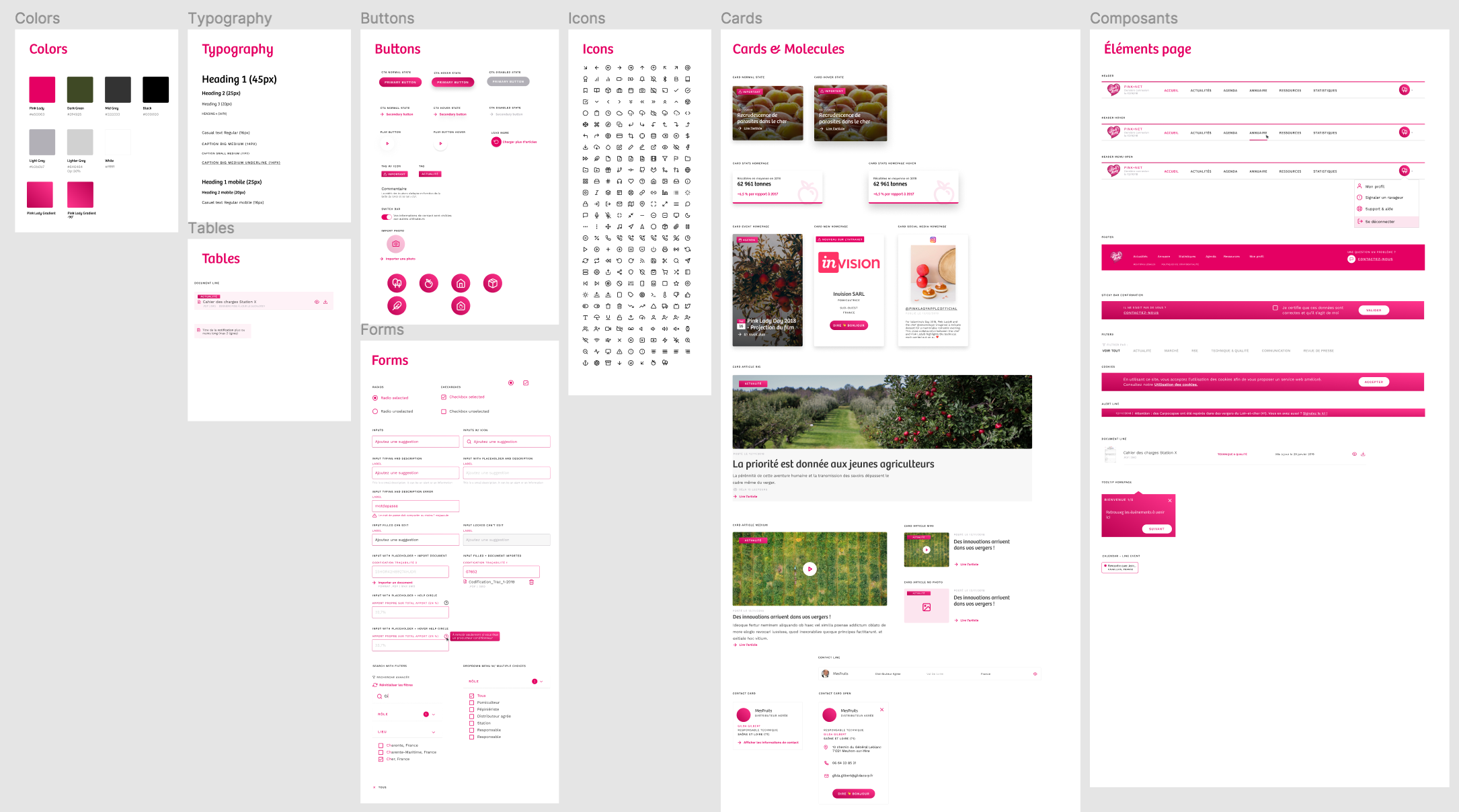 PinkLady_DesignSystem